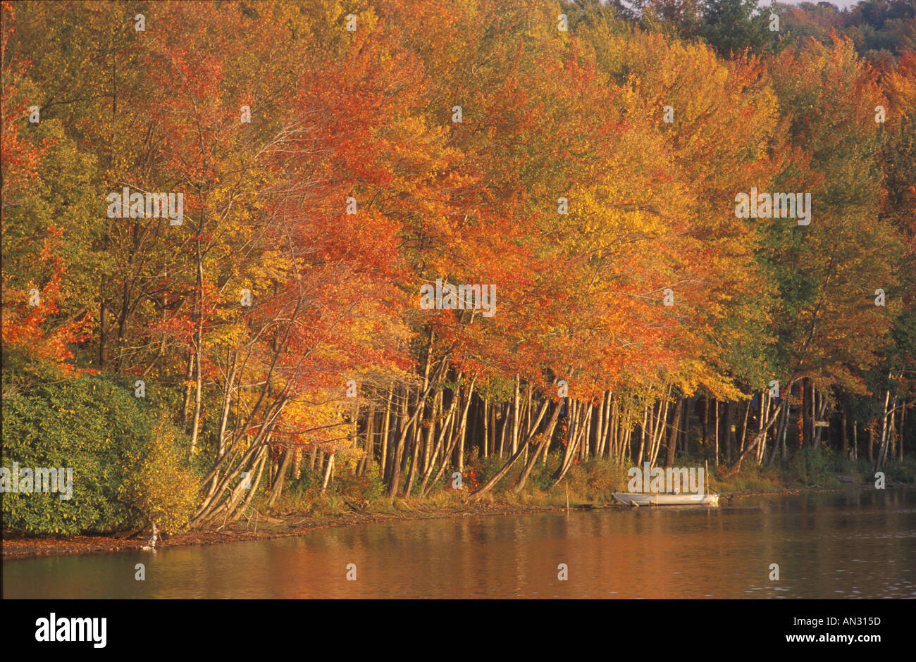 In autunno il pittoresco lago Noximixon, Pennsylvania, STATI UNITI D'AMERICA Foto Stock