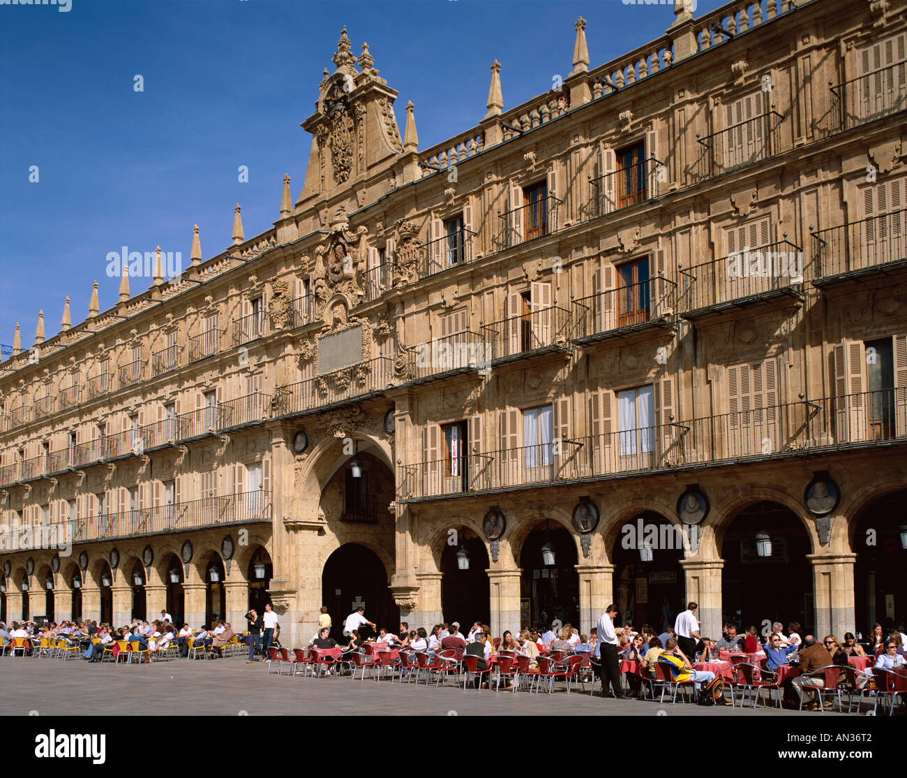 Plaza Mayor / il Royal Pavilion / caffè all'aperto, Salamanca, Castilla y Leon, Spagna Foto Stock