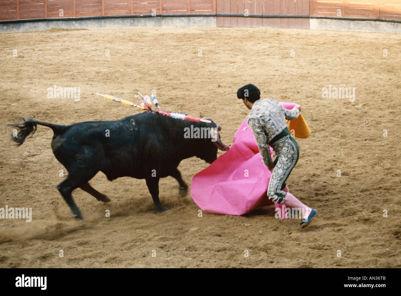 Plaza de Toros / la corrida, Ronda, Andalusia, Spagna Foto Stock