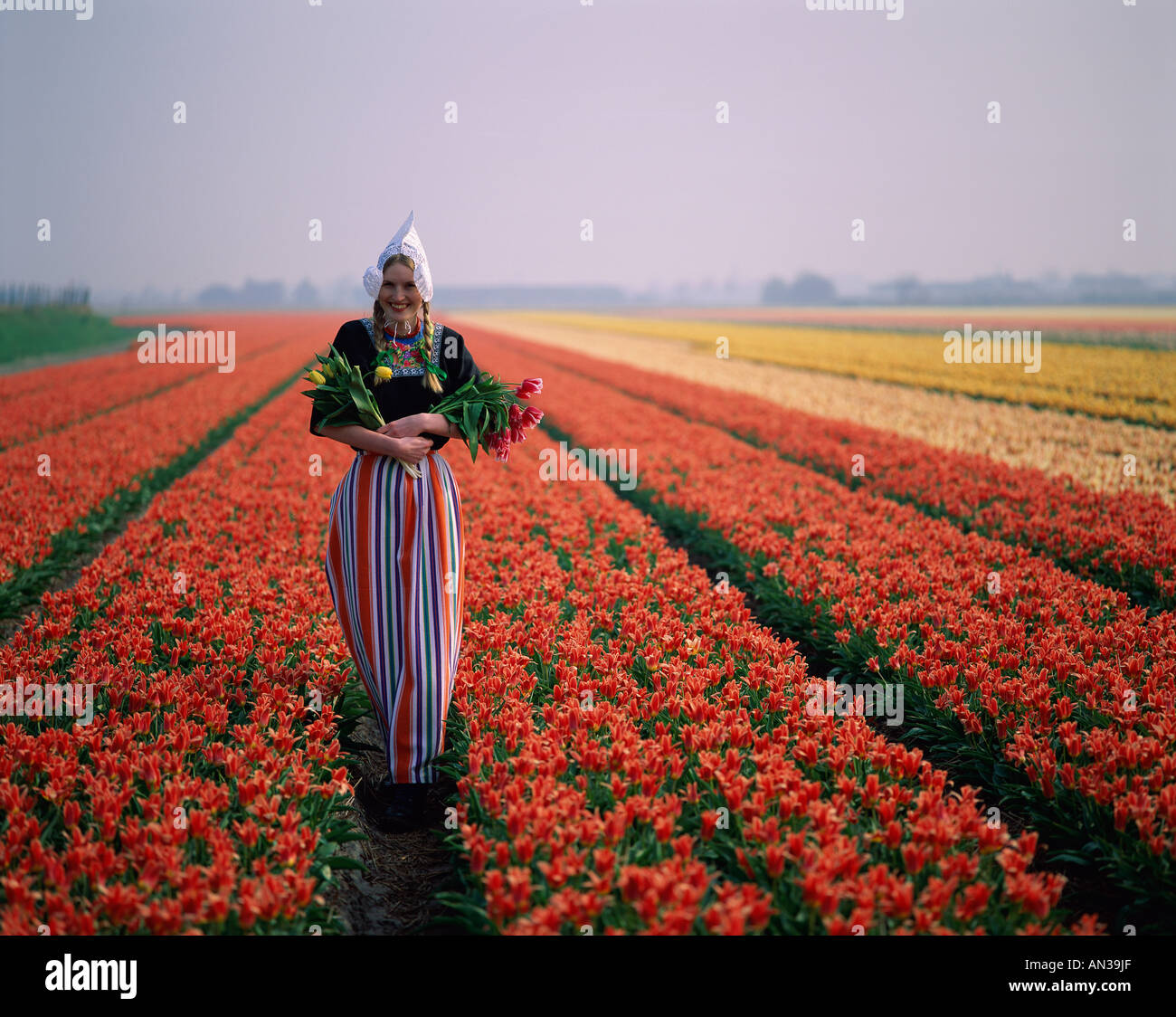 Campi di Tulipani / ragazza vestita in Costume olandese in campi di tulipani Lisse, Olanda (Paesi Bassi) Foto Stock