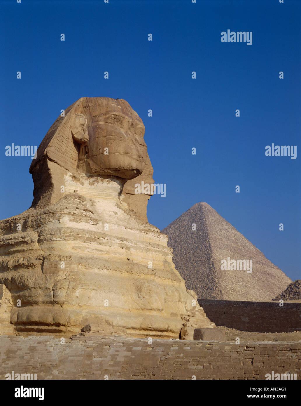 Grande Sfinge e piramidi di Giza in Egitto Foto Stock
