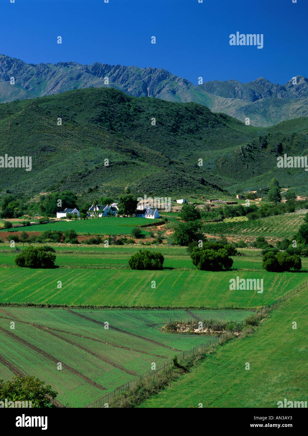 Cape Dutch Agriturismo / campi e montagne, Karoo, Provincia del Capo, in Sud Africa Foto Stock