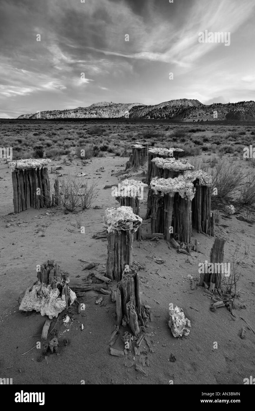 Tufi Mono Lake Foto Stock