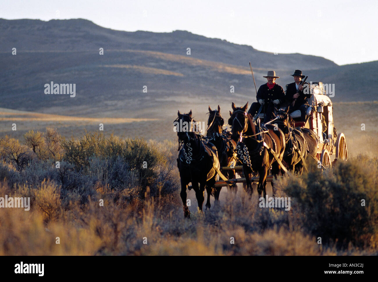 Signor USM Stagleline attraversa il polveroso deserto Owyhee sull'Idaho Oregon confine Foto Stock
