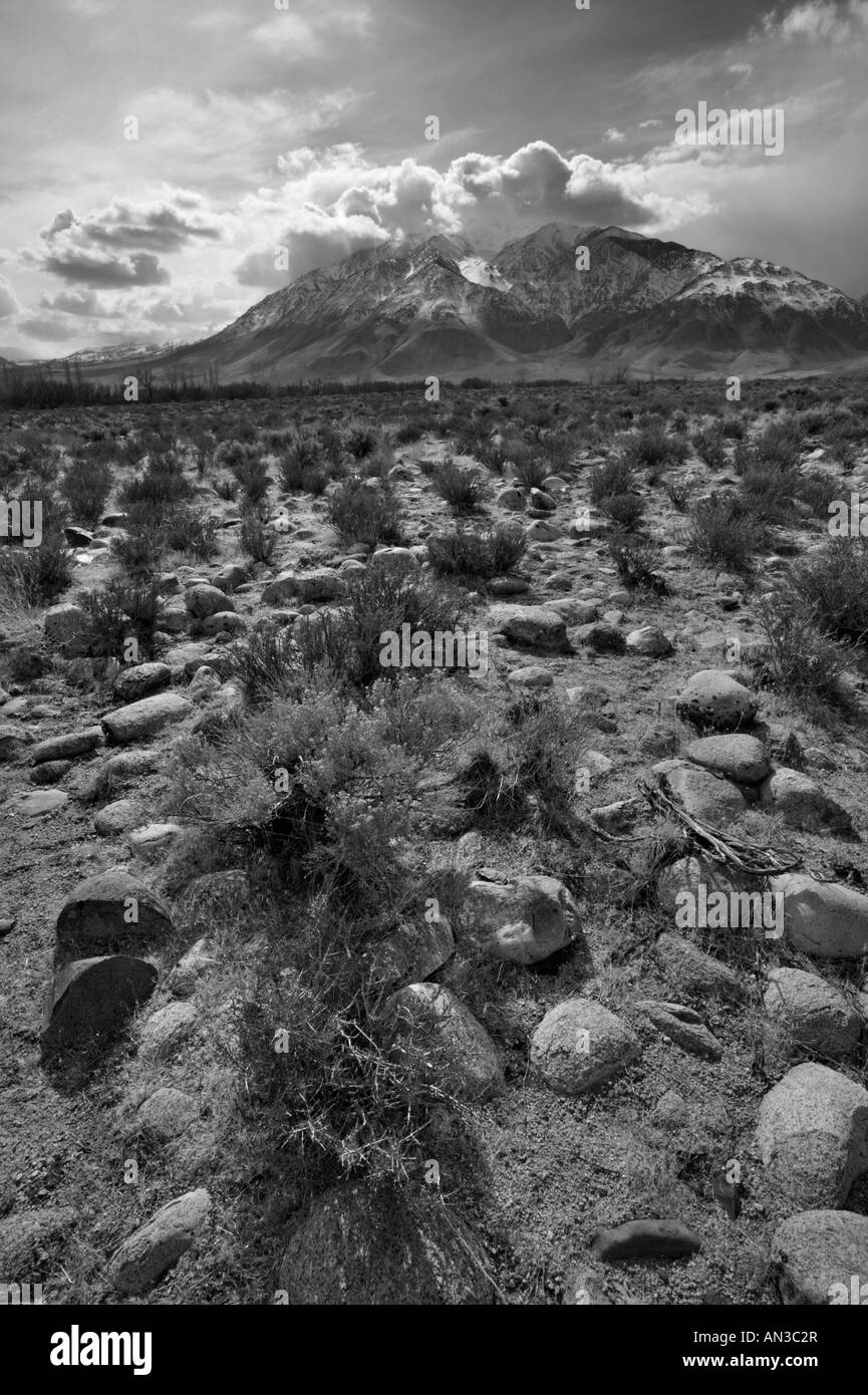 Eastern Sierra Nevada in bianco e nero Foto Stock