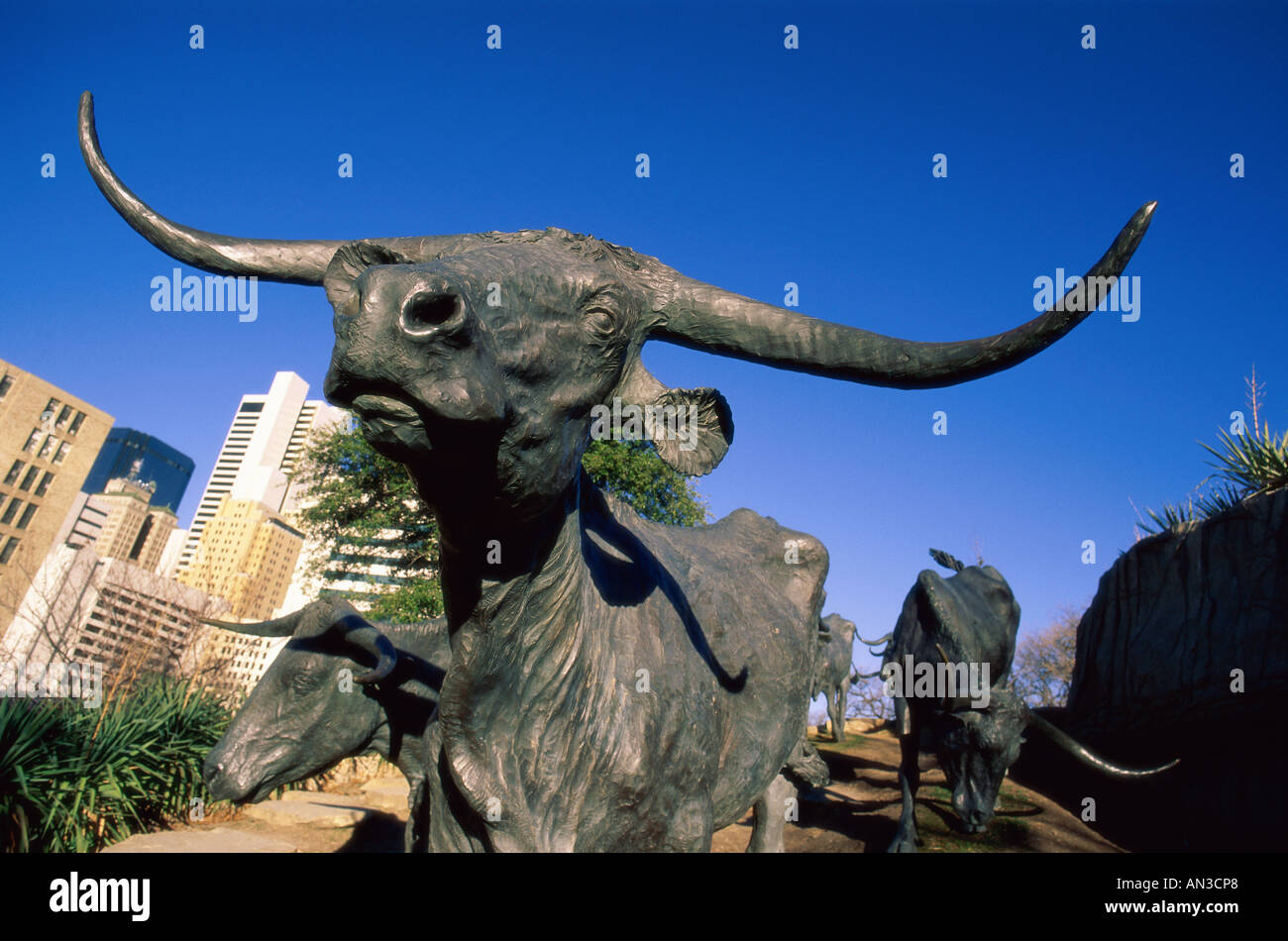 Pioneer Plaza / Sculture in bronzo del Texas Longhorn Manzi, Dallas, Texas, Stati Uniti d'America Foto Stock