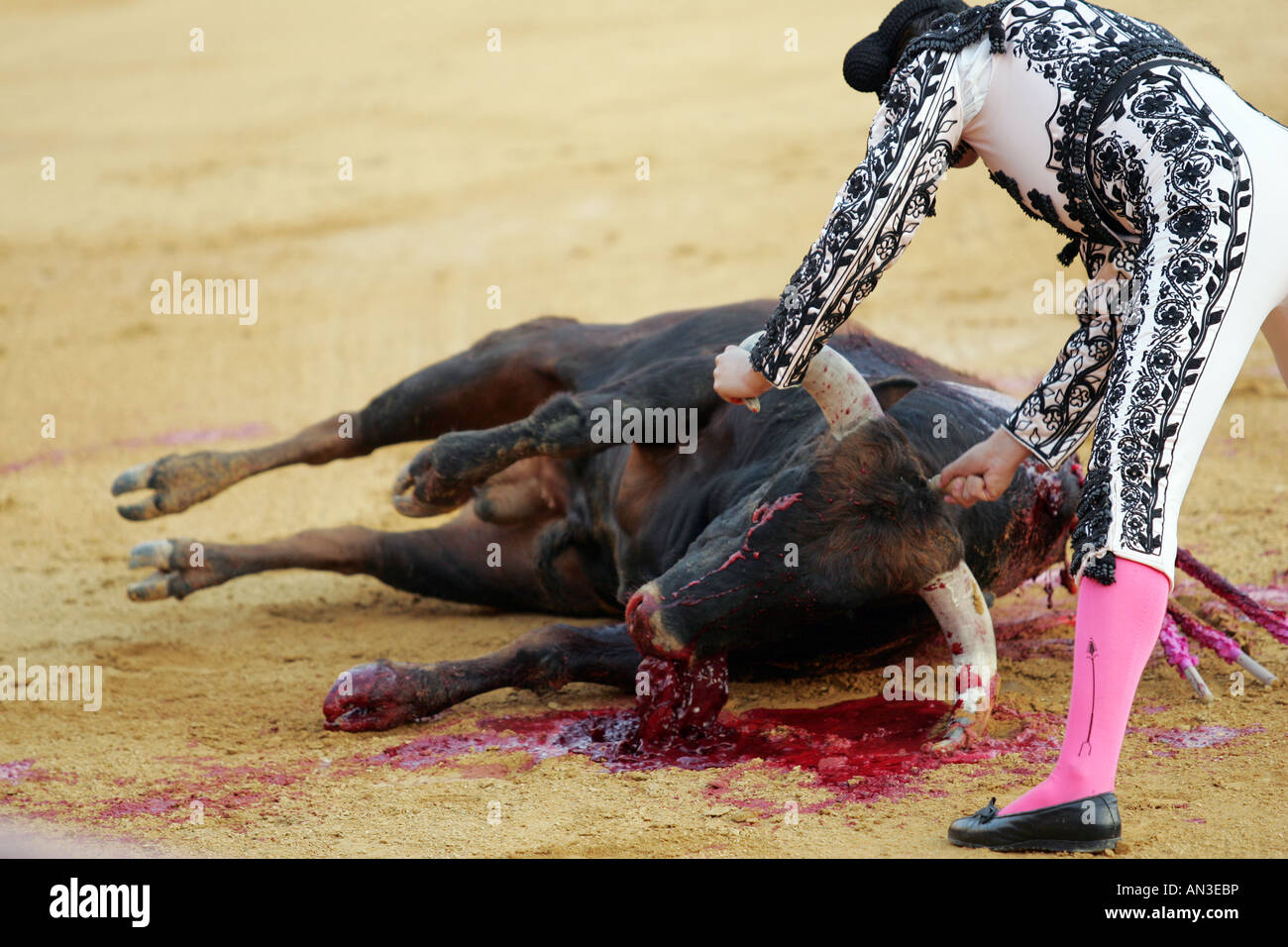 Torero Assistente amministrazione il colpo di grazia a un toro. Foto Stock
