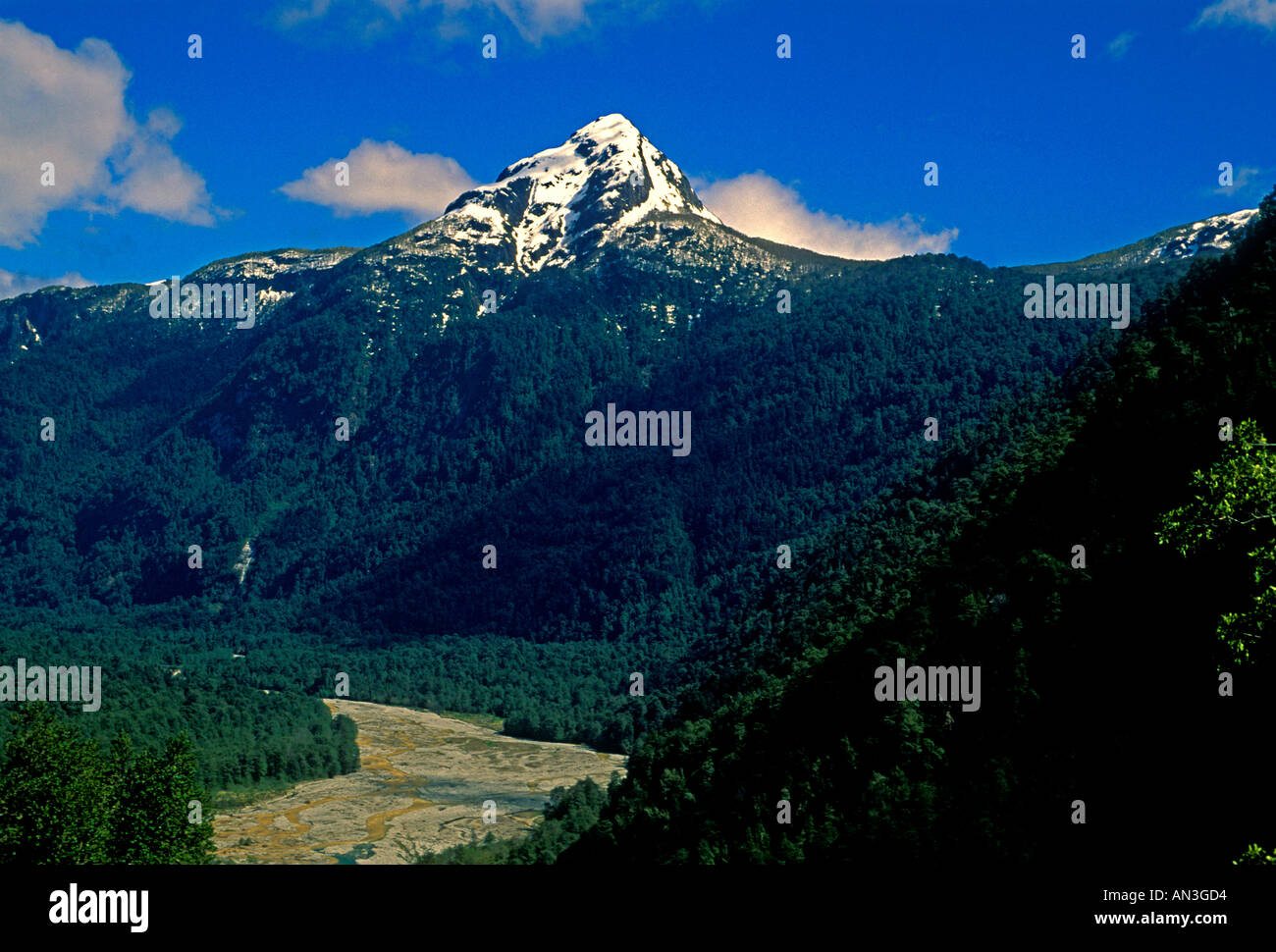 Paesaggio di montagna, riverbed parco nazionale di Vicente Perez Rosales, montagne delle Ande, andino Distretto dei Laghi e Lake District, Cile, Sud America Foto Stock