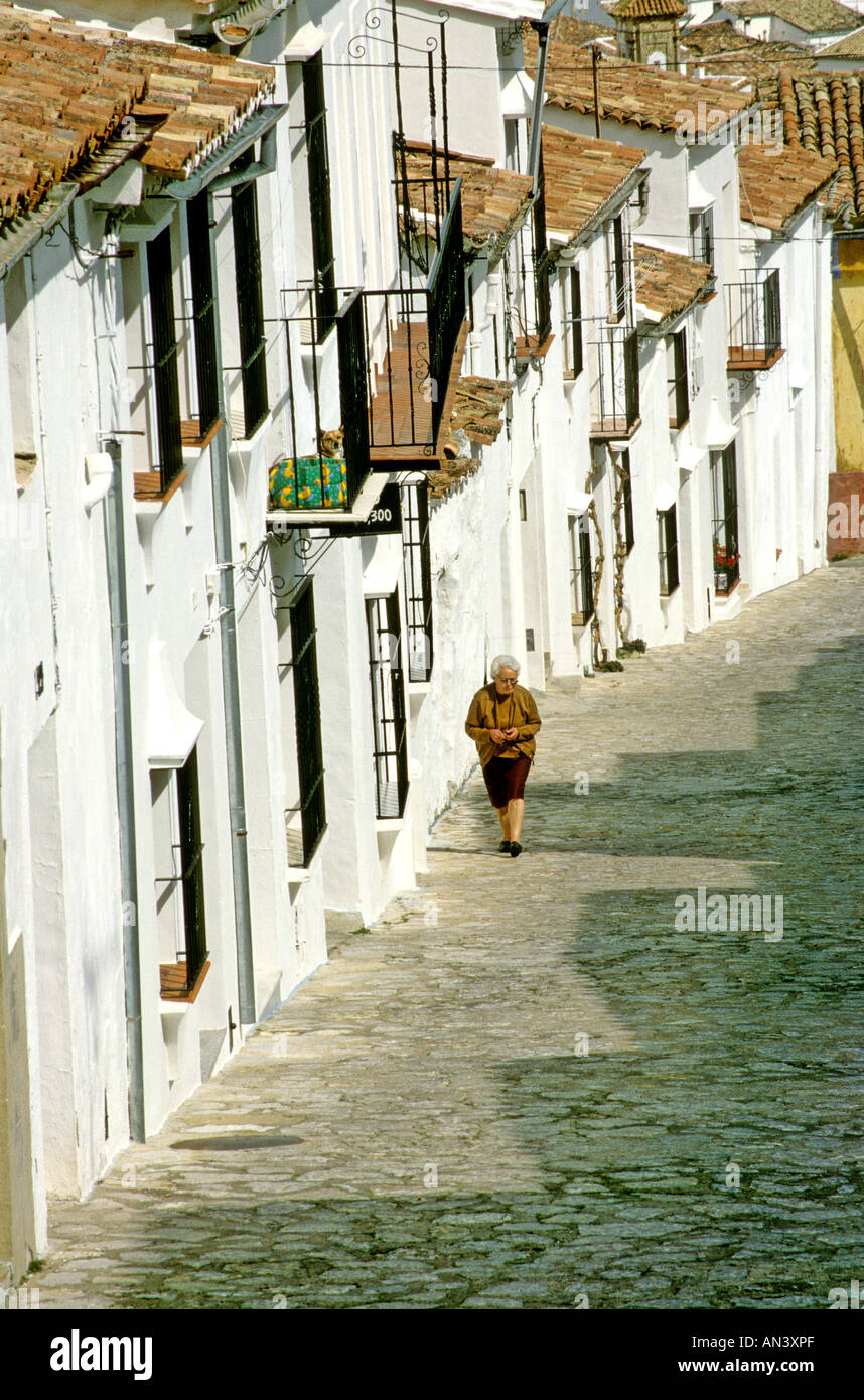 Piccolo vialetto in ciottoli / street in un pueblo blanco village, Andalusia, Spagna Foto Stock