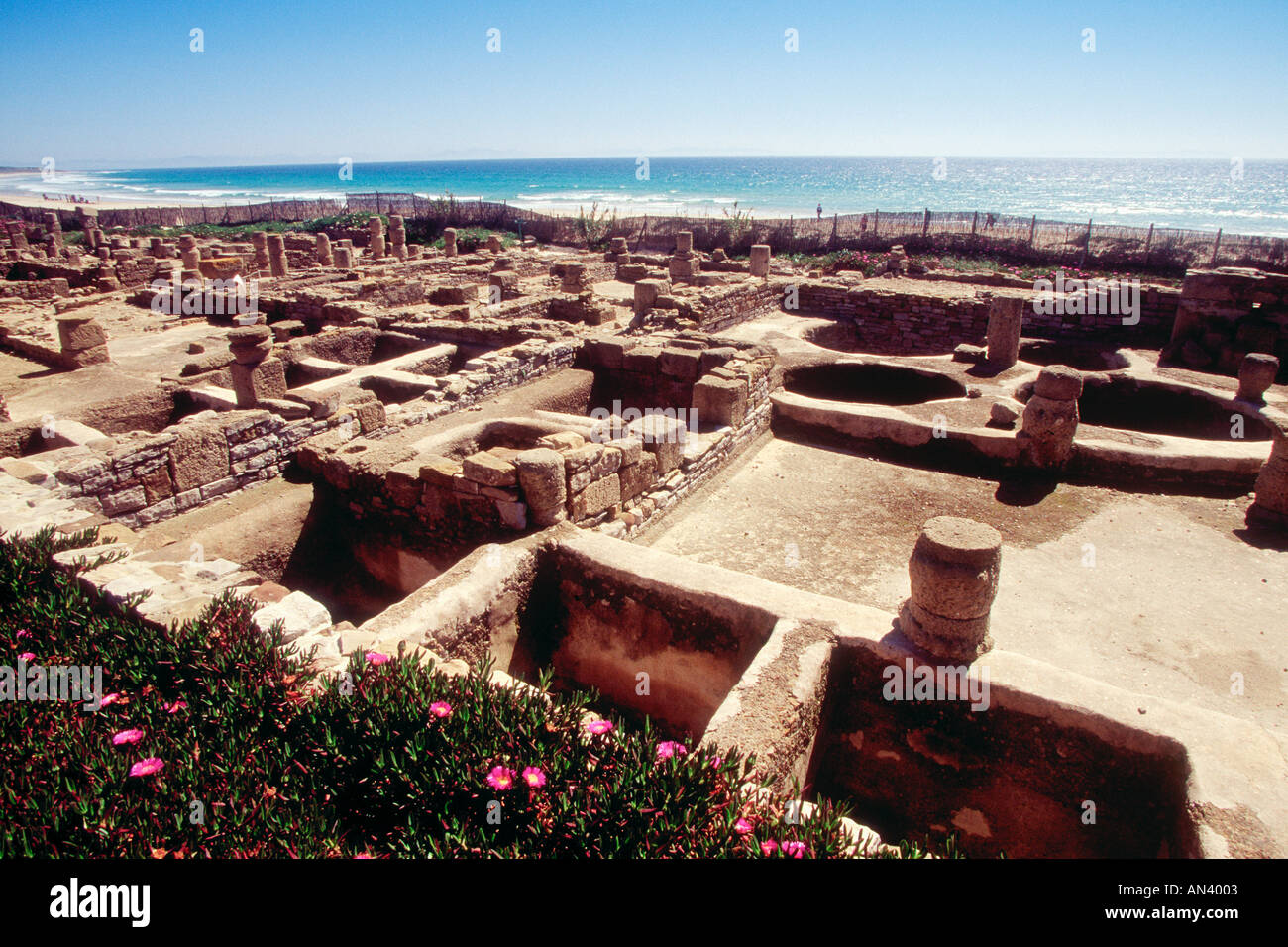 Spagna Cadice rovine romane del garum fabbrica a Baela Claudia vicino a Bolonia Foto Stock