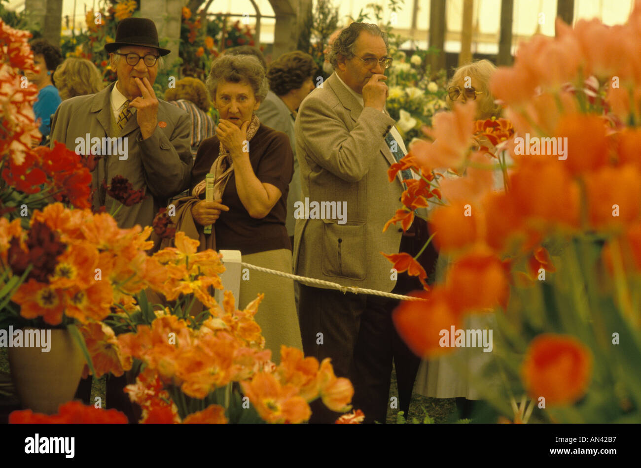 1980 senior couple UK, ammirando la mostra di fiori al Chelsea Flower Show, Londra Inghilterra 1984 HOMER SYKES Foto Stock