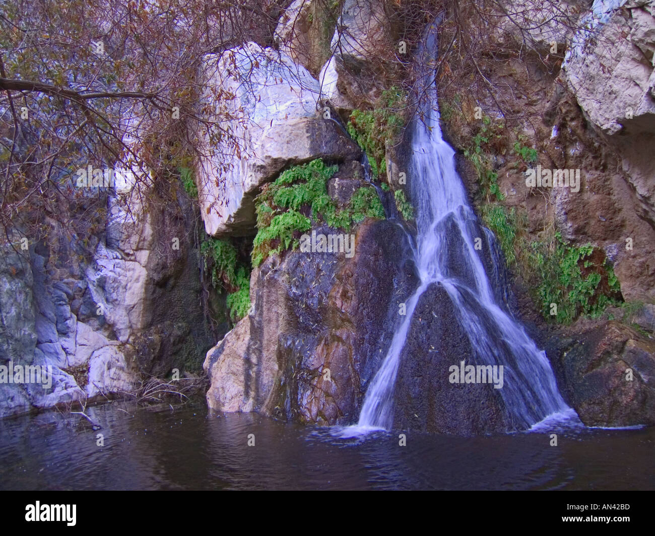 California Parco Nazionale della Valle della Morte Darwin cade Foto Stock