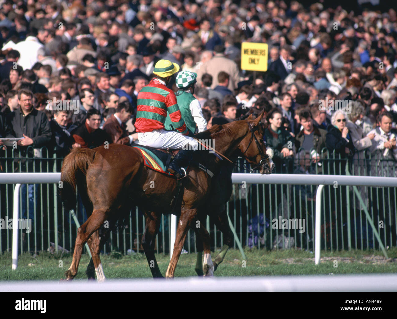 GOLD CUP A CHELTENHAM RACECOURSE GLOUCESTERSHIRE England Regno Unito Foto Stock