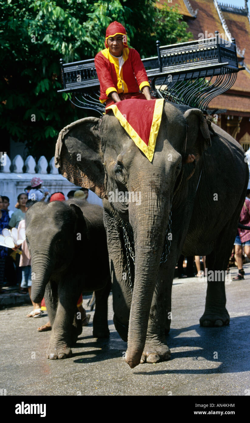 Cerimoniale di elefante al Laos anno nuovo,Luang Prabang,Laos Foto Stock