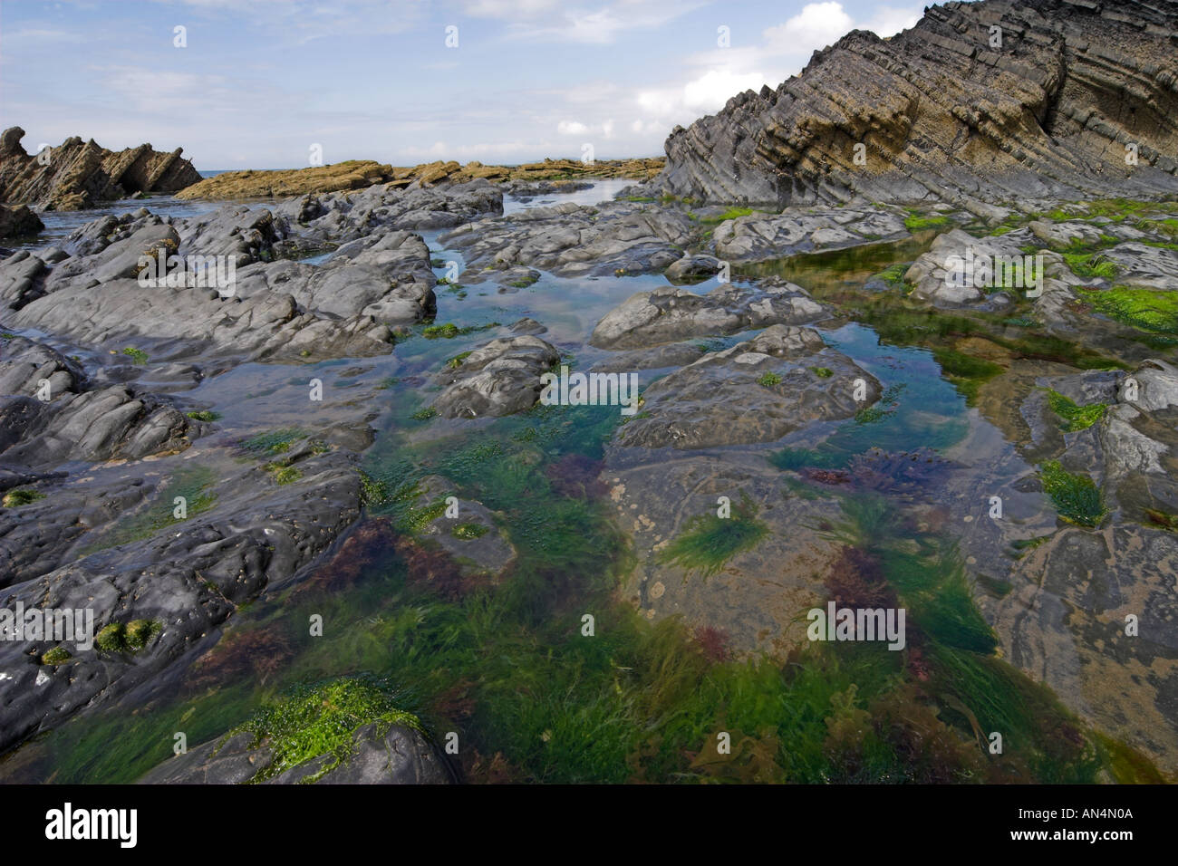 Rocce costiere Clarach Ceredigion West Wales Foto Stock