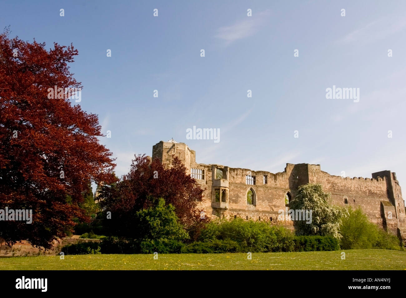 Newark Castle come visto da sopra il fiume Trento Foto Stock