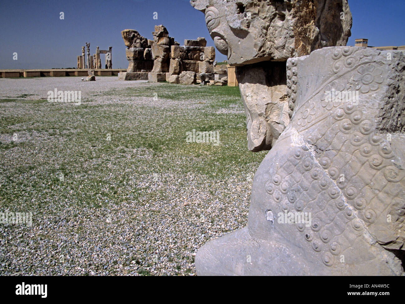 Rovine di Persepolis la antica capitale dell'Impero Persiano Iran Foto Stock