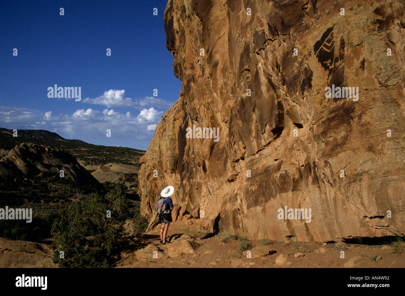 Turista femminile guardando incisioni rupestri in scogliera Dinosaur National Monument Colorado USA Utah Foto Stock