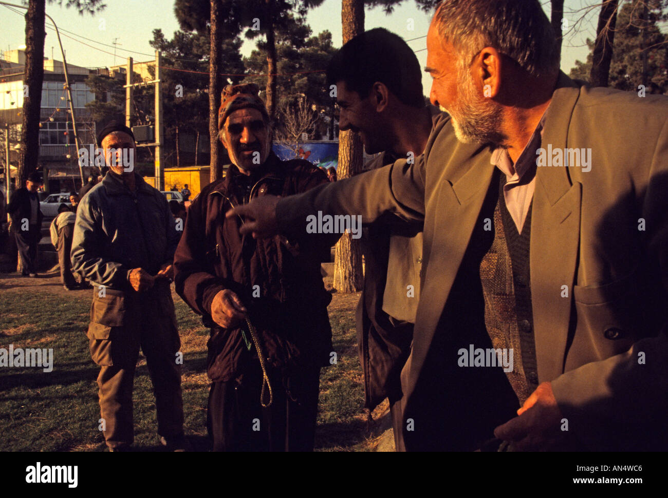 Uomini armeno di socializzare, Teheran, Iran Foto Stock