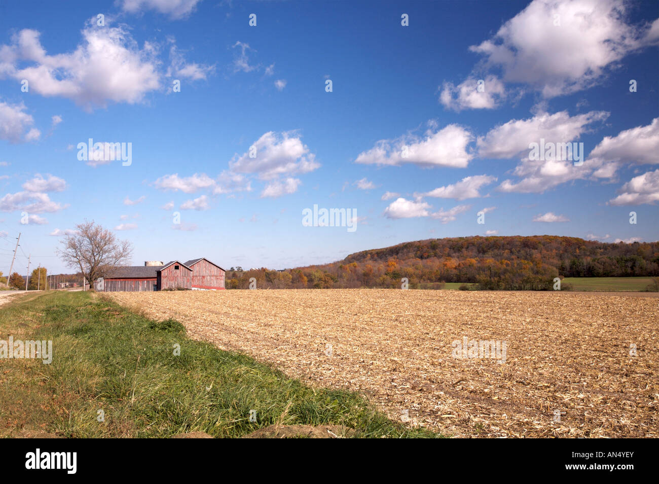 Scarpata del Niagara in Dodge County Wisconsin Foto Stock