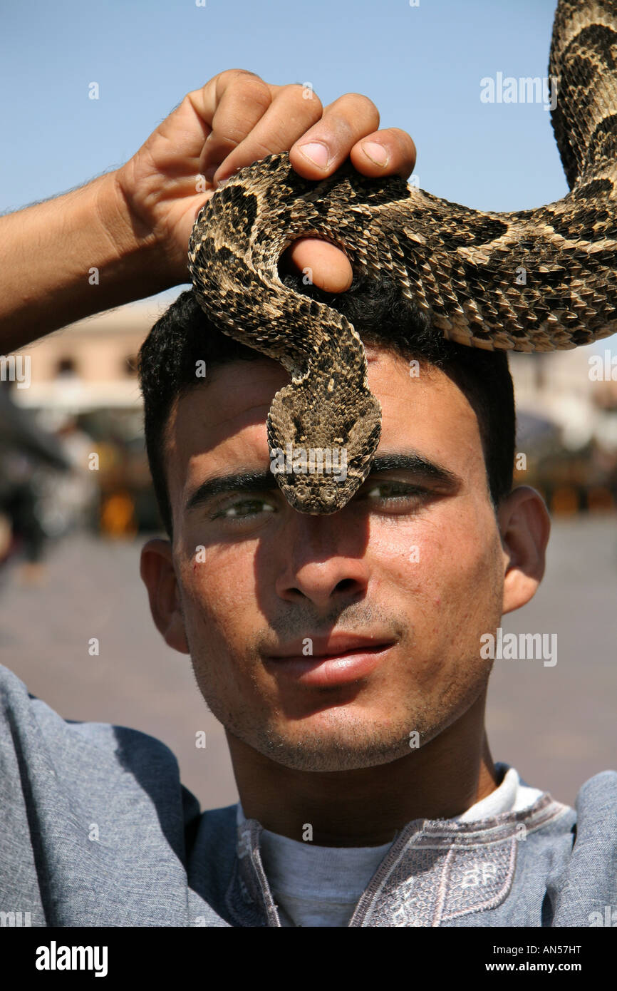 Il serpente incantatore con viper souk marrakech marocco Foto Stock