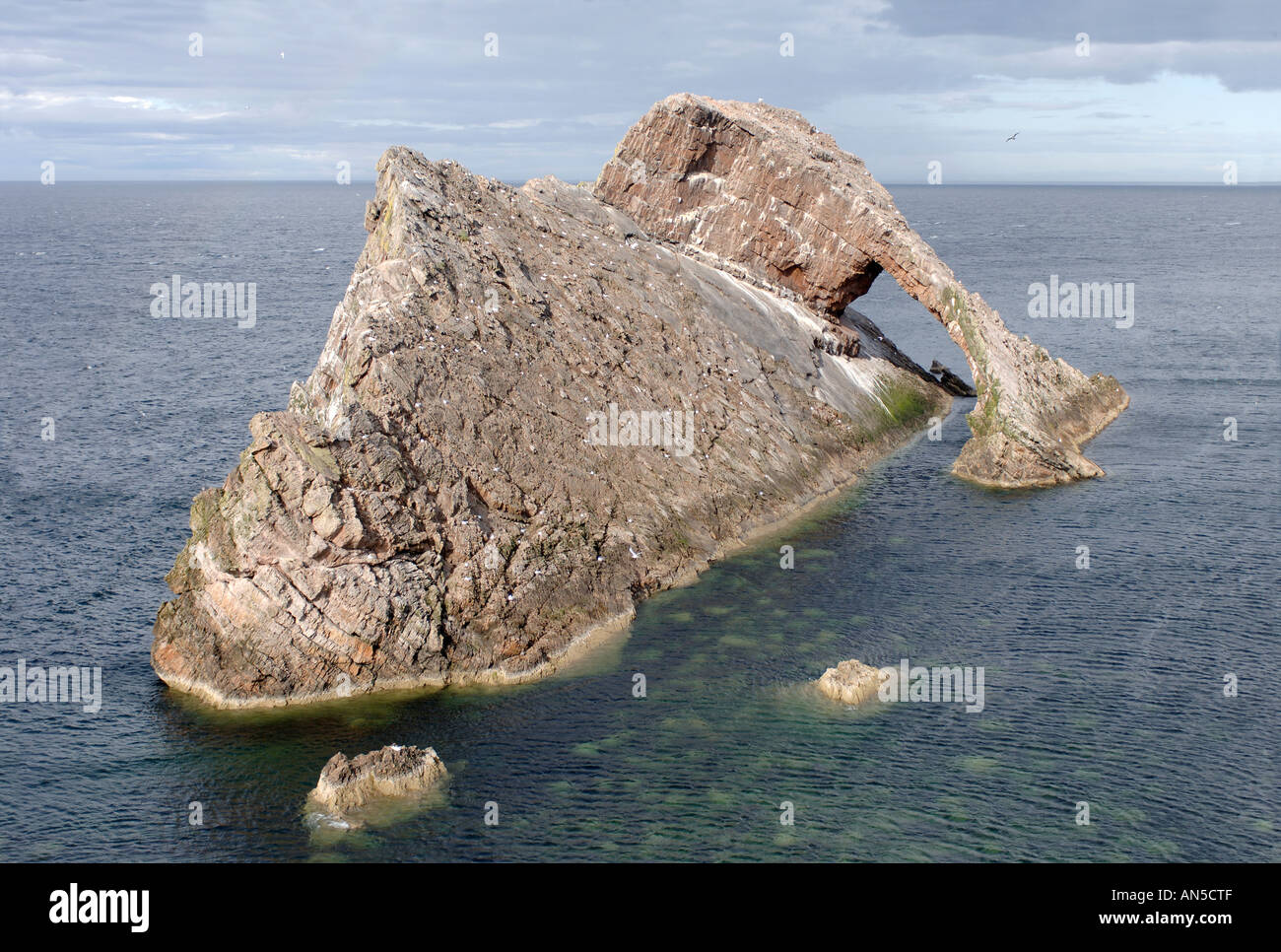 Bow Fiddle Rock, Portknockie, Nord Est Aberdeenshire, Grampian. La Scozia. XPL 3257-323 Foto Stock