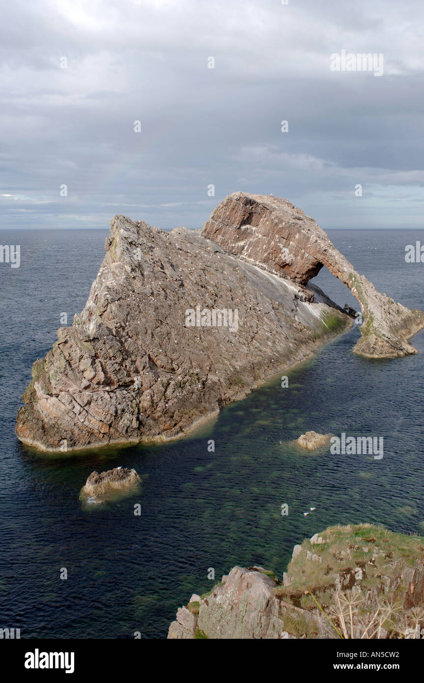 Bow Fiddle Rock, Portknockie, Nord Est Aberdeenshire, Grampian. La Scozia. XPL 3258-323 Foto Stock