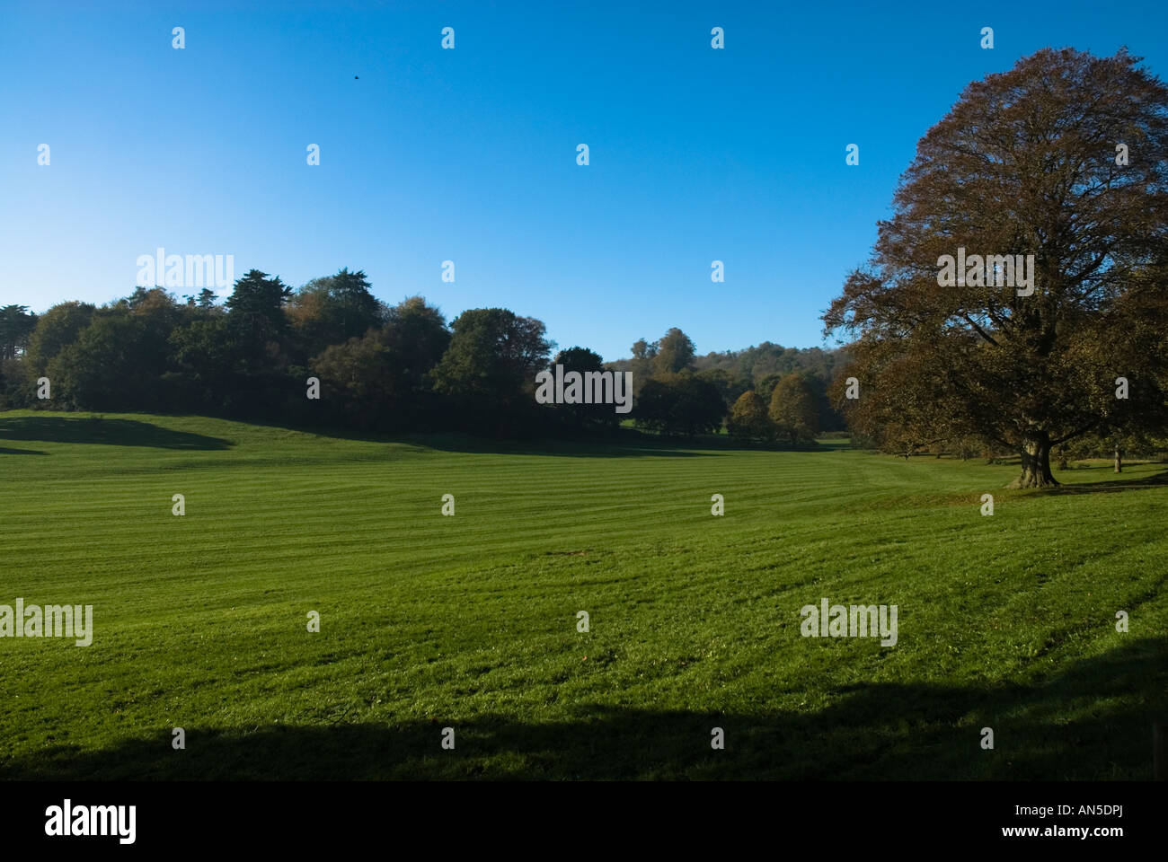 Parco verde di Ashton Court consiglio locale di proprietà immobiliari in Bristol in una giornata di sole Foto Stock