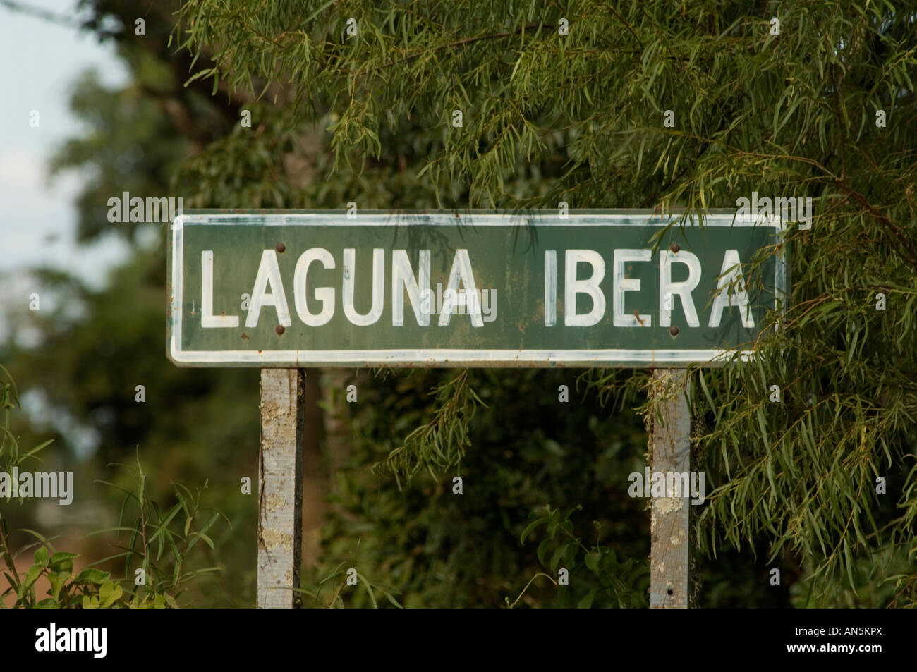 Esteros del Ibera Argentina Foto Stock