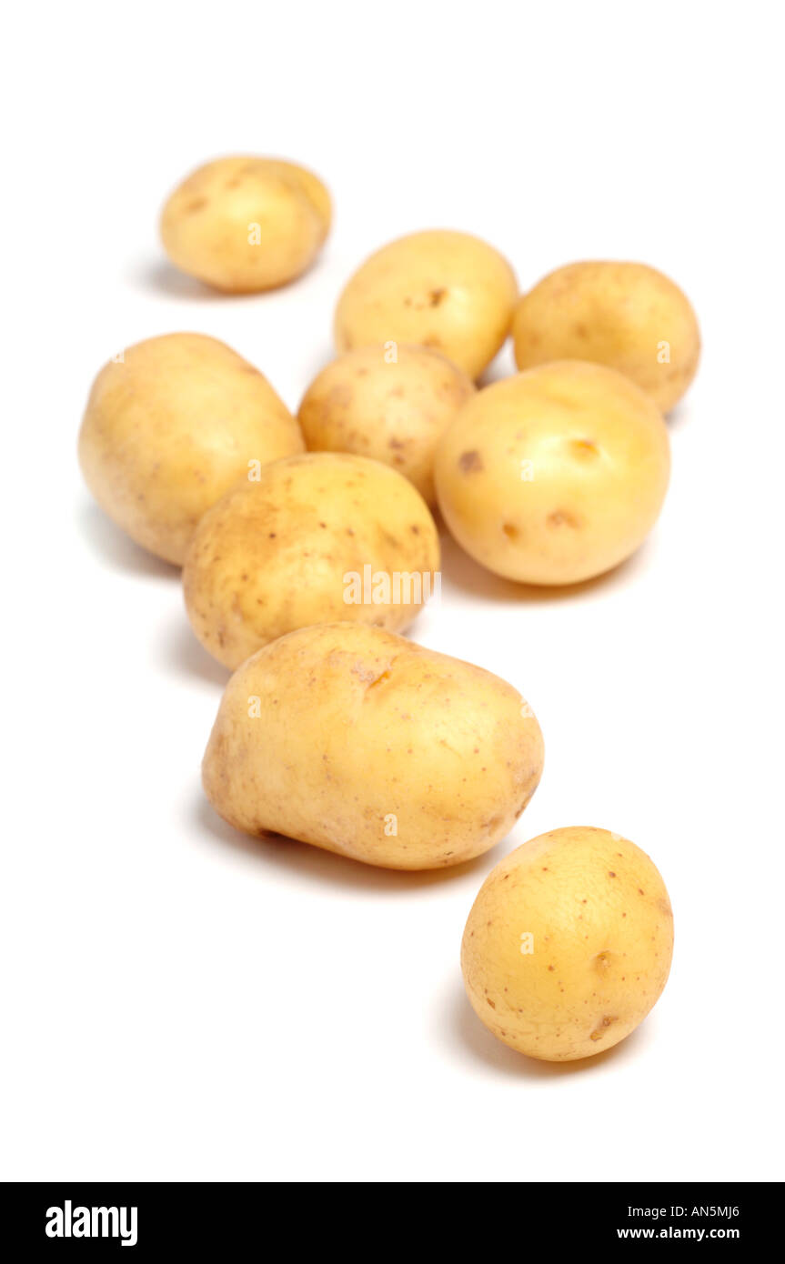 Patate di primizia su sfondo bianco Foto Stock