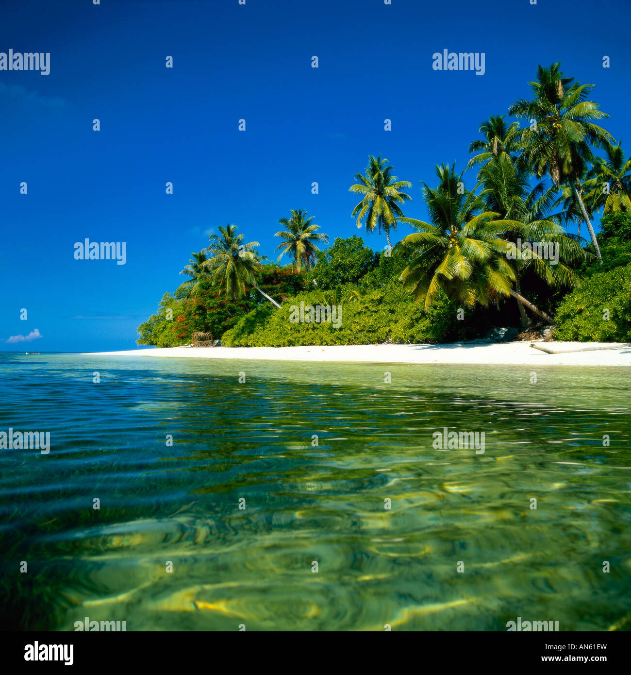 Laguna solitario Foto Stock