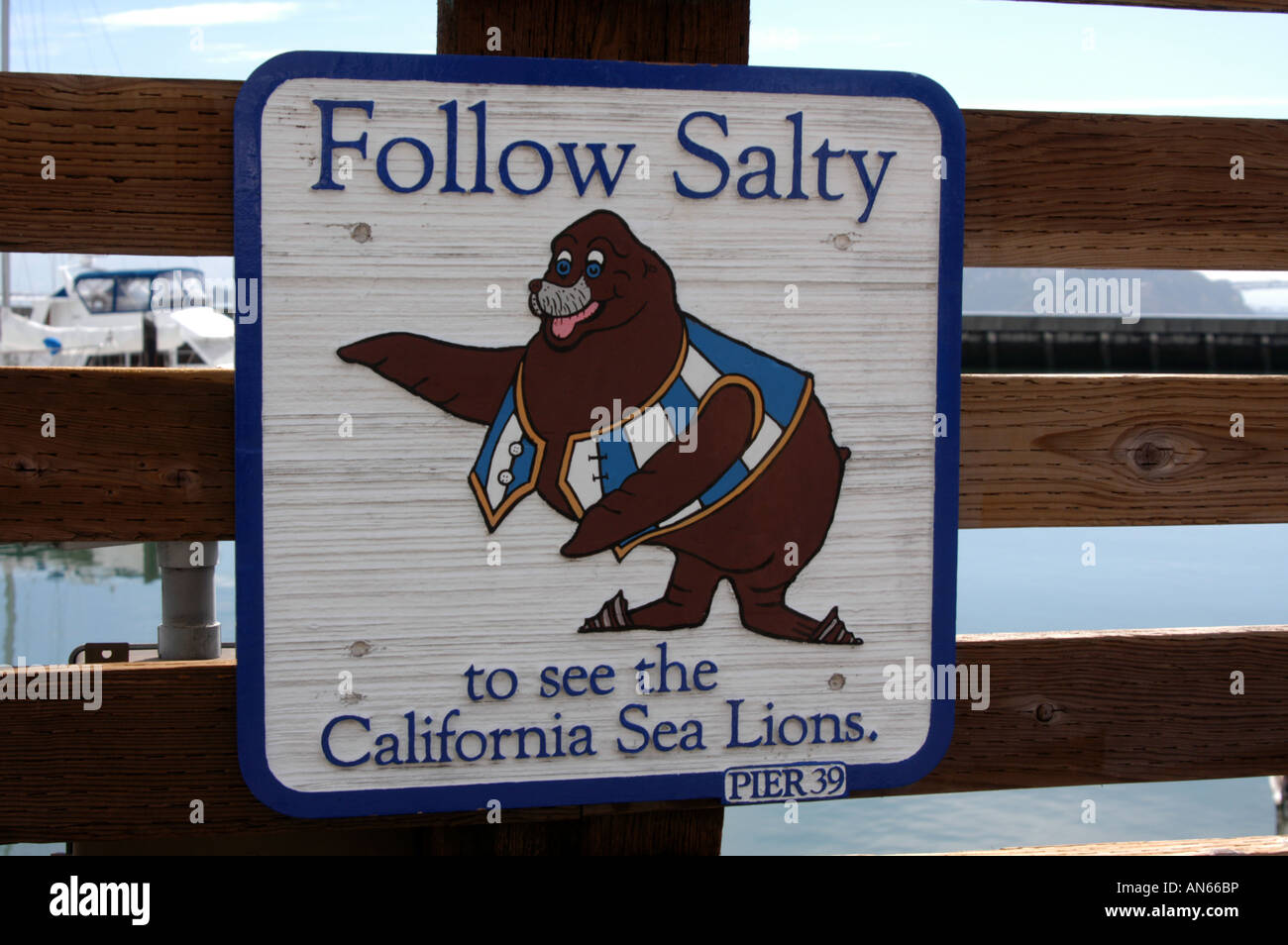 California i leoni di mare segno Foto Stock