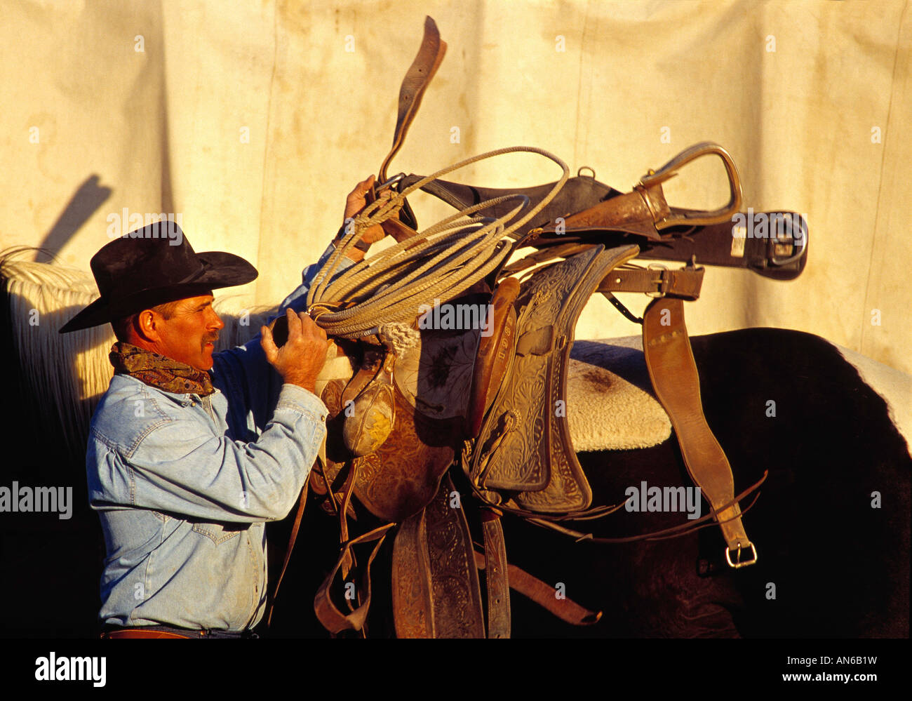 Signor un cowboy altalene sua sella oltre i suoi cavalli indietro Foto Stock