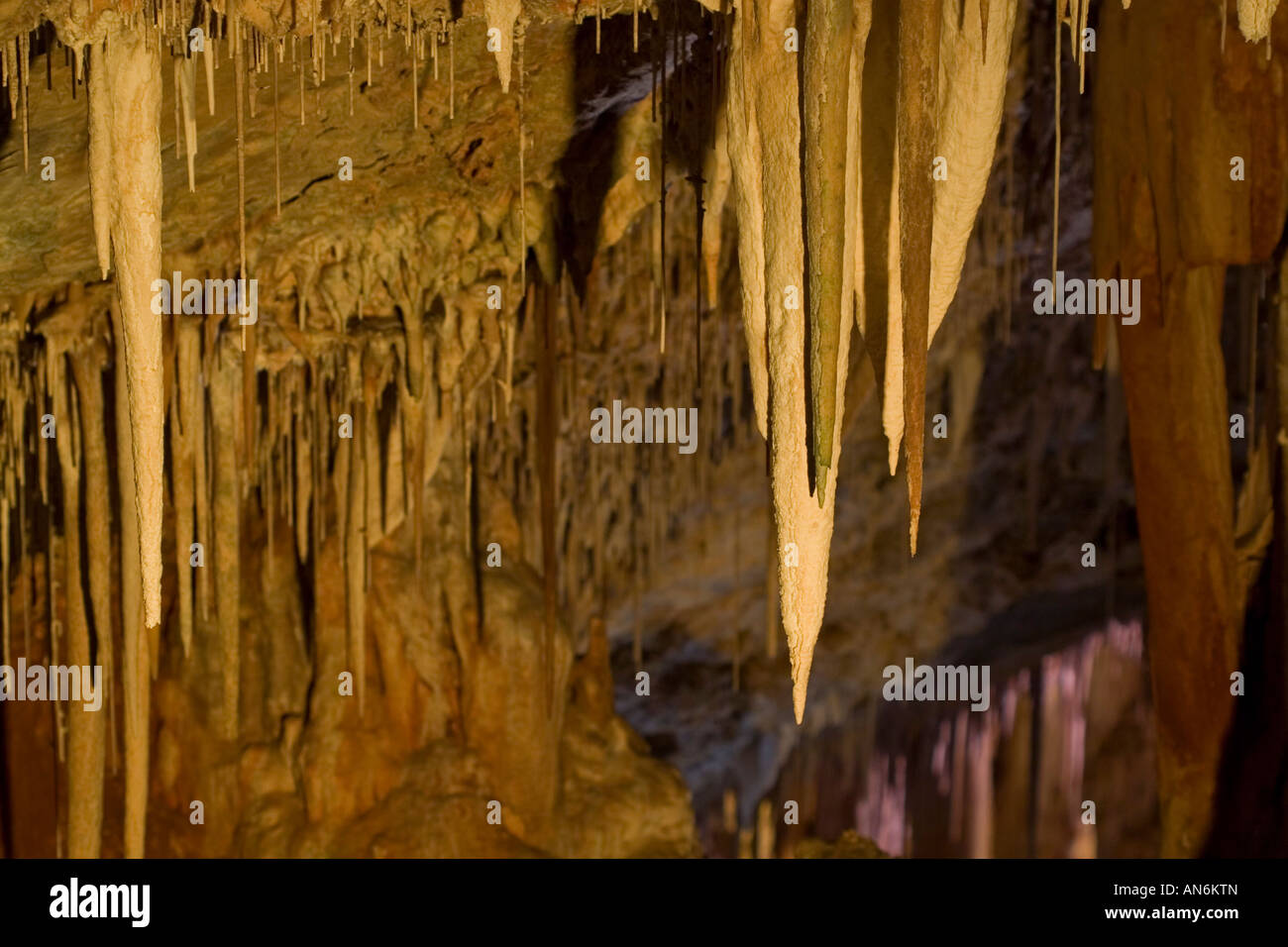 Israele il Soreq Grotta Stalattitica Riserva Naturale detta anche Grotta Avshalom 82 metro lungo 60 metri grotta larga Foto Stock