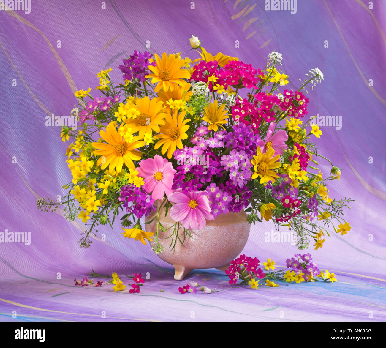 Studio disposti colorati mazzo bouquet di giallo e rosso dei fiori in un vaso su un pastello sfondo viola Foto Stock