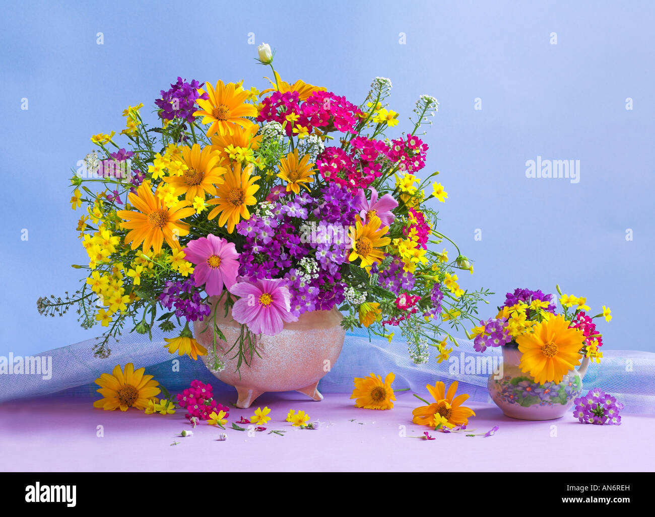 Studio disposti di rosso e di giallo mazzetto bouquet di fiori di primavera in un vaso su un pastello blu sfondo viola Foto Stock