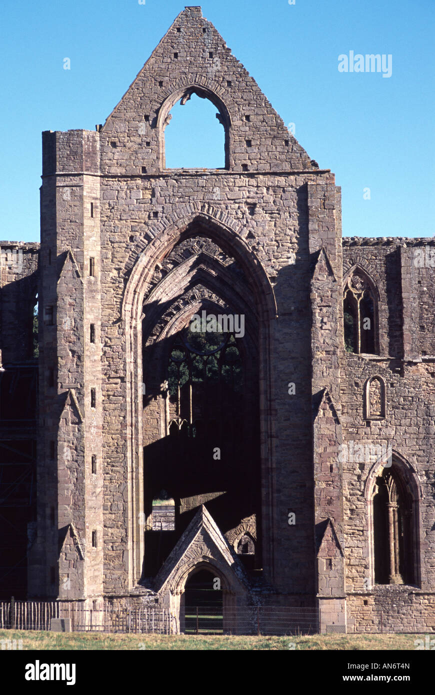 Tintern Abbey (gallese: Abaty Tyndyrn) è stata fondata da Walter de Clare, signore di Chepstow Monmouthshire Foto Stock