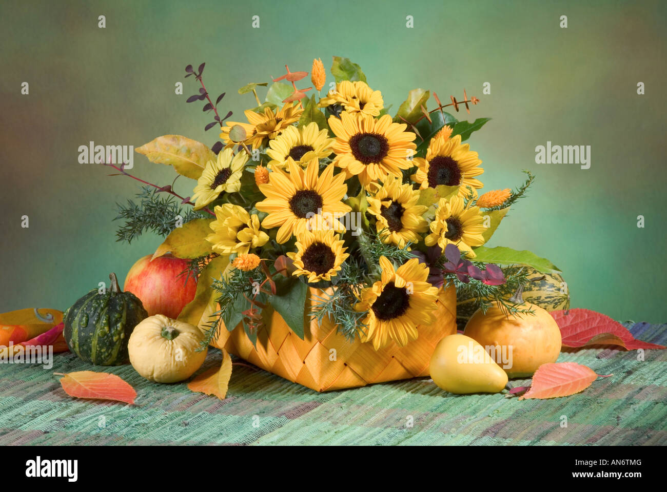 Studio disposti colorati mazzo bouquet di girasoli giallo in un cesto su un verde sfondo pastello Foto Stock