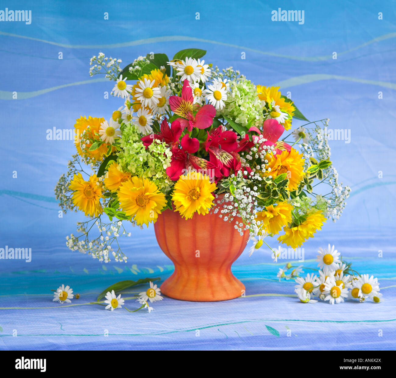 Studio disposti colorati mazzo bouquet di fioritura di primavera con fiori di camomilla blu su sfondo pastello Foto Stock