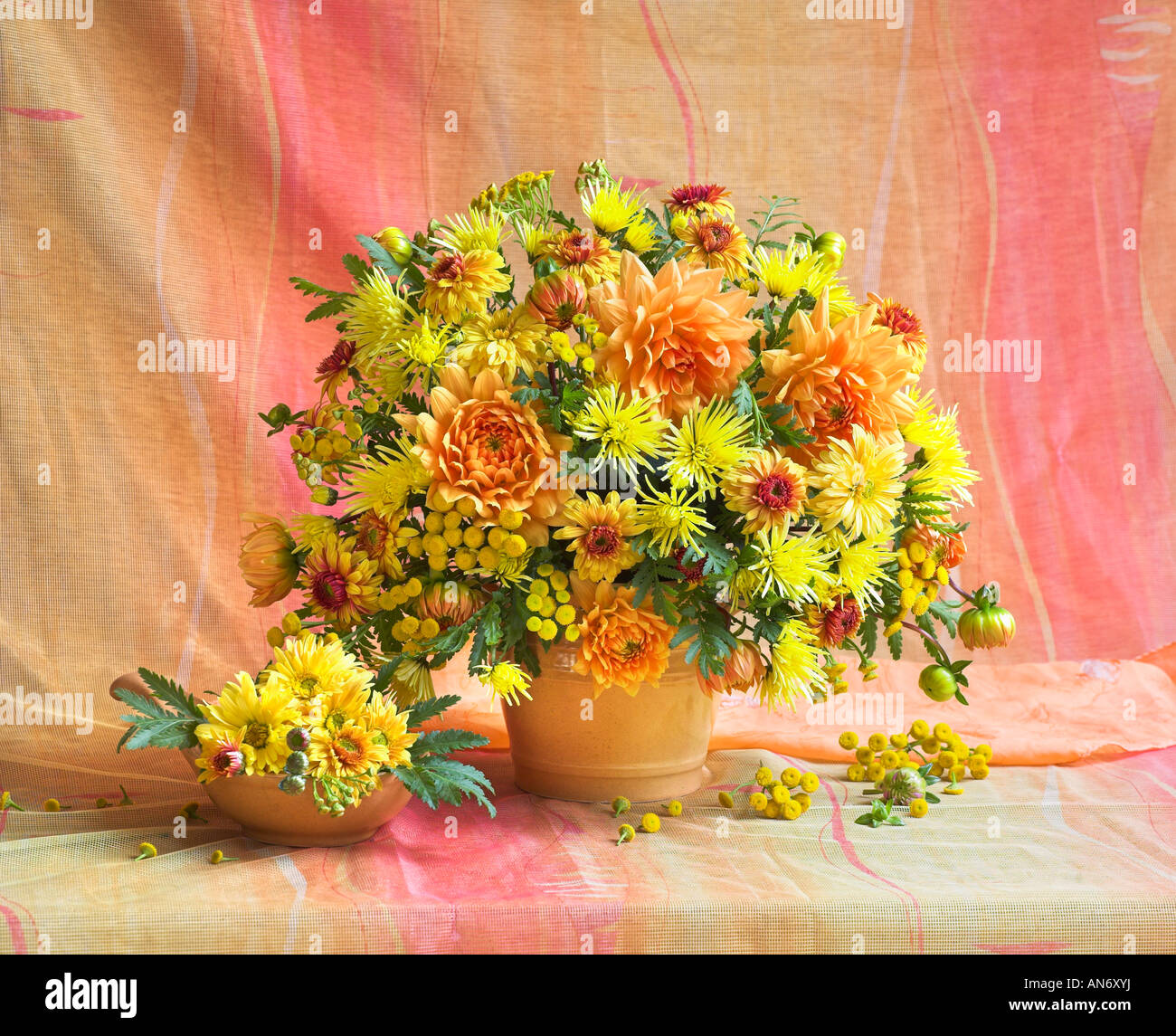 Studio disposti colorati mazzo bouquet di primavera in fiore giallo dei fiori in un vaso su uno sfondo color pastello Foto Stock