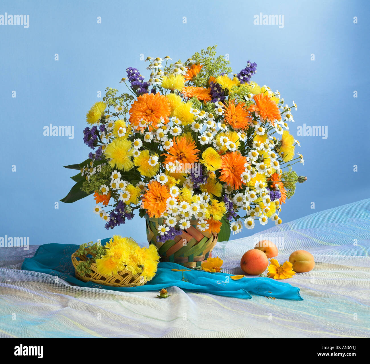 Studio disposti colorato banco bouquet di fioritura a molla giallo con fiori di camomilla in un vaso su un pastello blu sullo sfondo Foto Stock