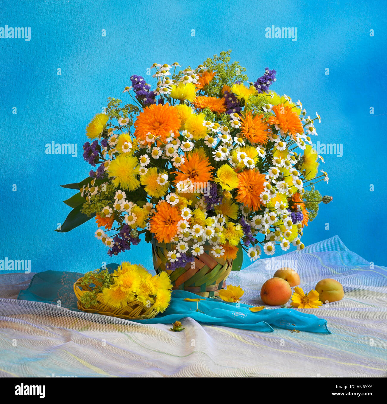 Studio disposti di bianco e giallo mazzetto bouquet di fiori in primavera con la camomilla in vaso su un pastello sfondo blu Foto Stock
