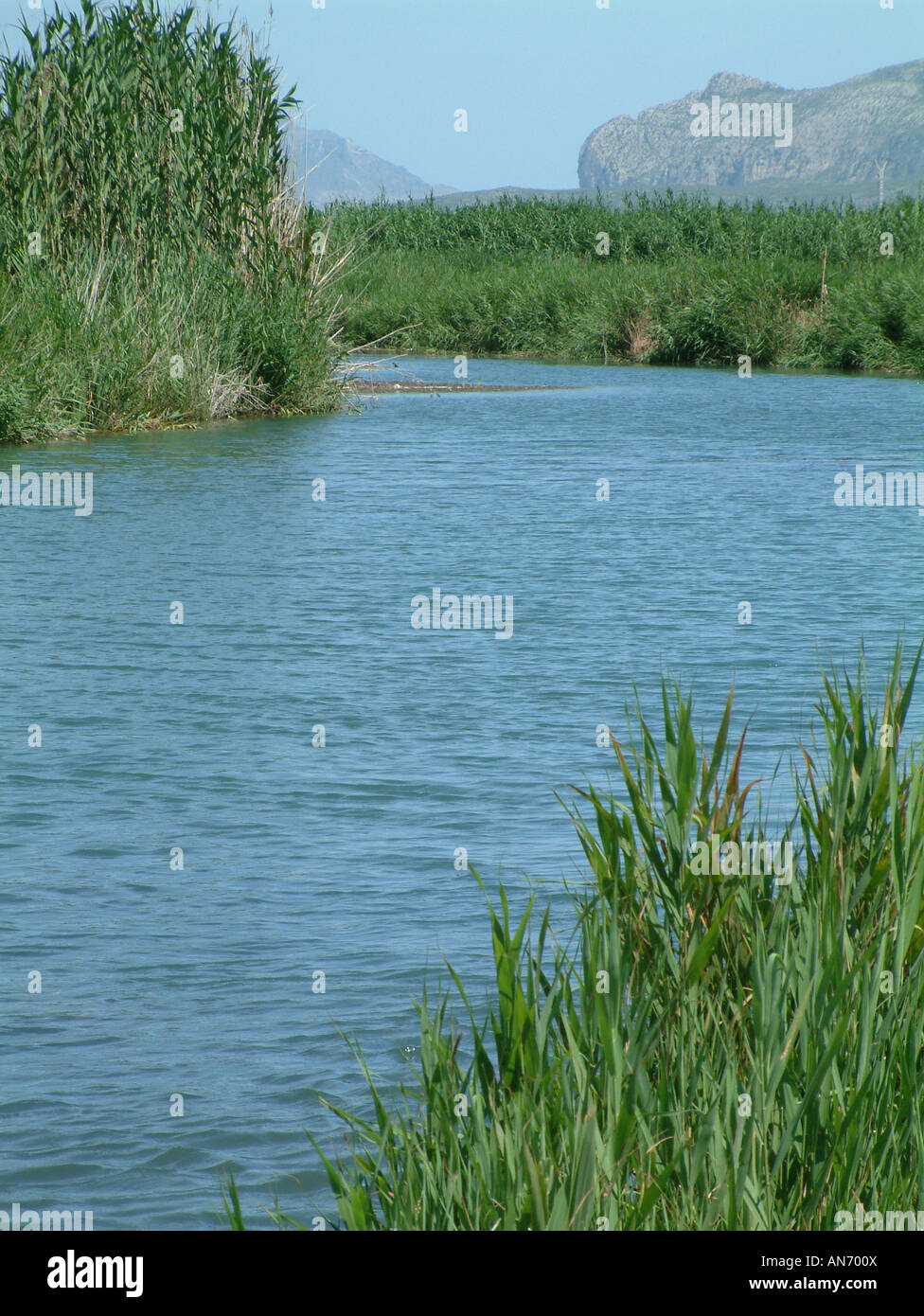 Fiume, Zona umida di Pego-Oliva, Comunidad Valenciana, Spagna Foto Stock