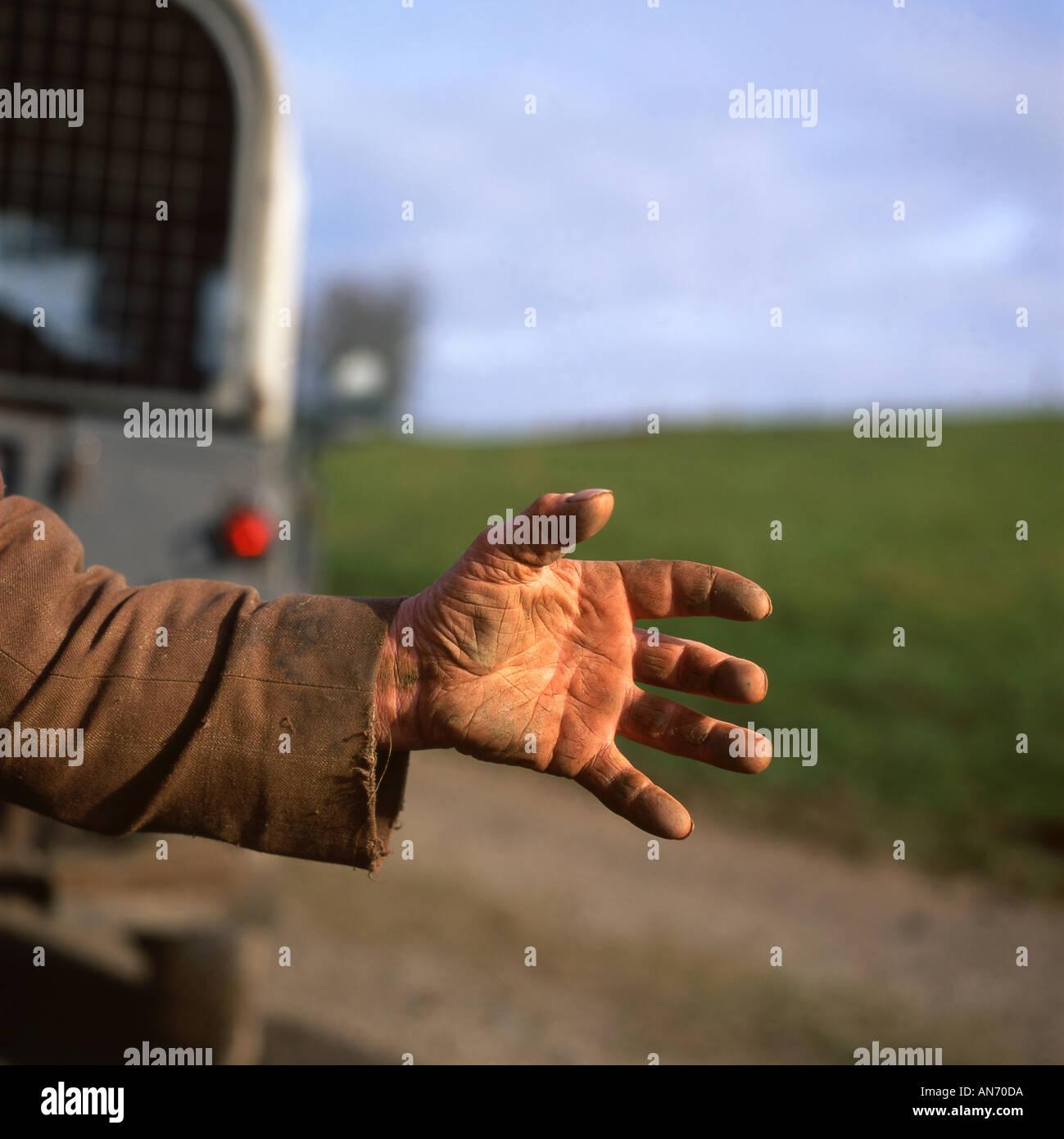 Il lavoro indossava la mano aperta di un anziano agricoltore gallese che ha lavorato per tutta la vita nella sua fattoria rurale in Galles Regno Unito Gran Bretagna foto d'archivio KATHY DEWITT Foto Stock