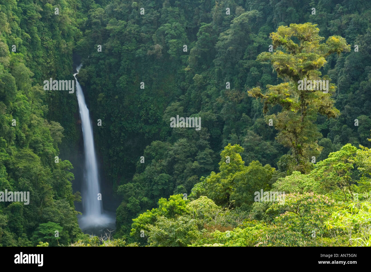 Congo o Angel Falls, Cordillera Central, Costa Rica Foto Stock