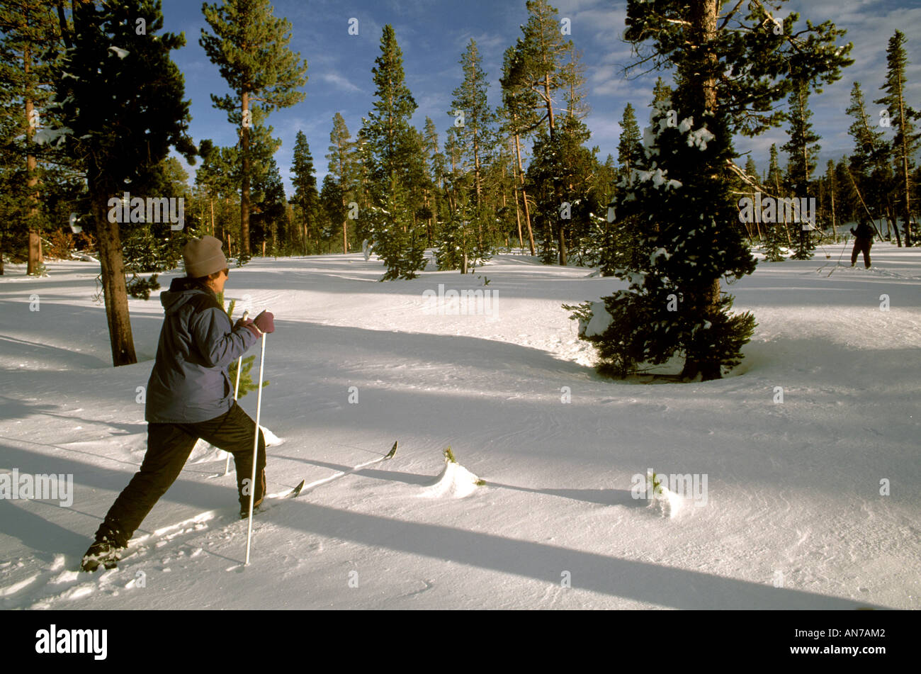 Un CROSS COUNTRY SKIIER attraversa un prato nevoso in tre sorelle deserto delle cascate sorelle OREGON Foto Stock