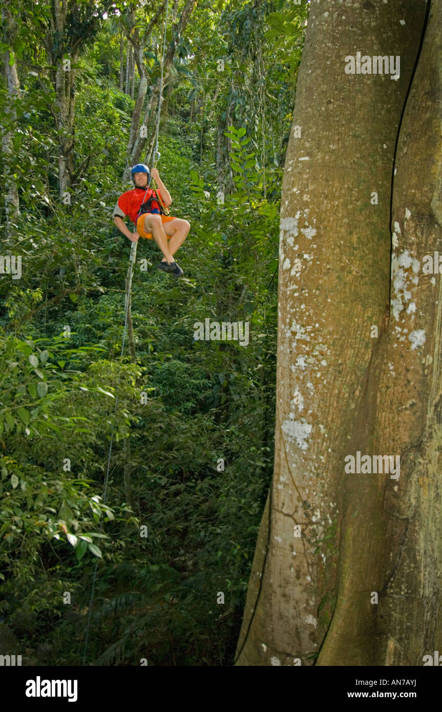 Rappelling giù albero della foresta pluviale, Turrialba COSTA RICA Foto Stock
