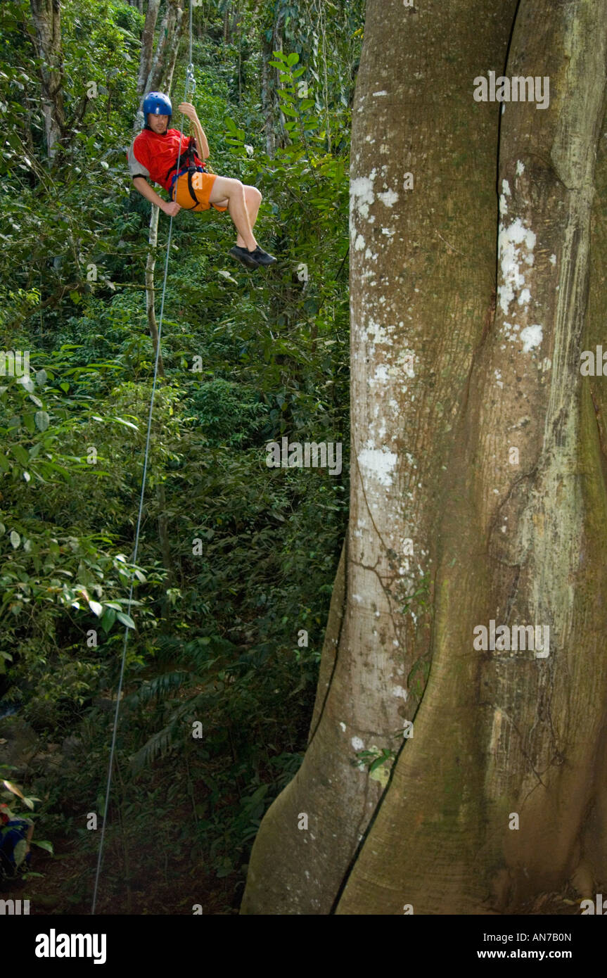 Rappelling giù albero della foresta pluviale, Turrialba COSTA RICA Foto Stock
