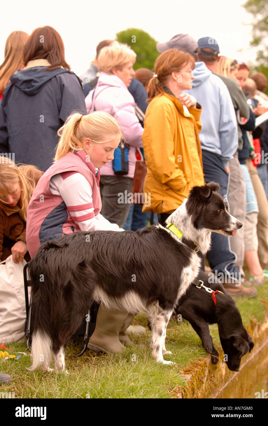 Una giovane ragazza con i suoi cani vicino al laghetto a badminton Horse Trials 2006 REGNO UNITO Foto Stock