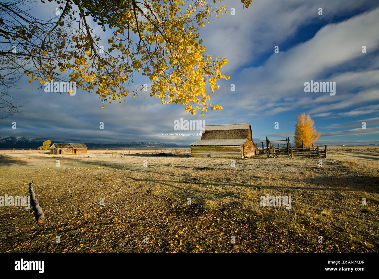 Golden mattina presto luce su un vecchio Moulton granaio sulla riga mormone nel Parco Nazionale di Grand Teton Foto Stock